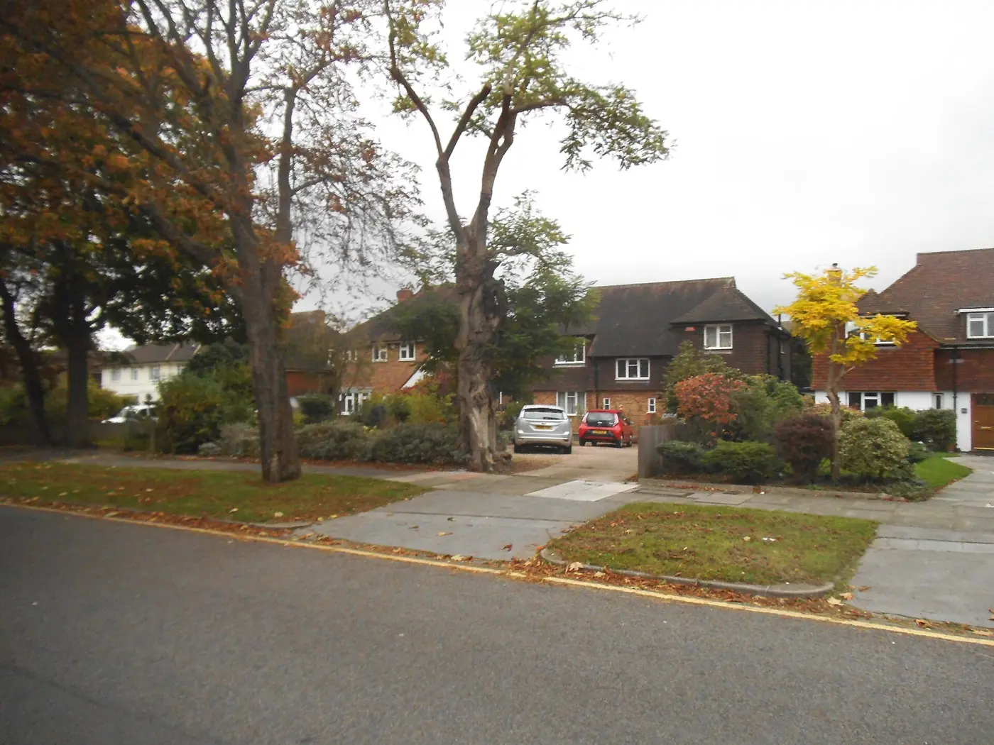 Detached twentieth-century houses set back behind front gardens on Park Road, Beckenham