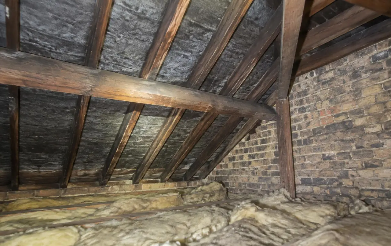 Roof Surveys